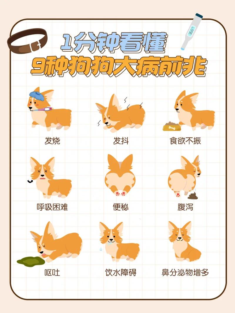 狗狗发烧症状