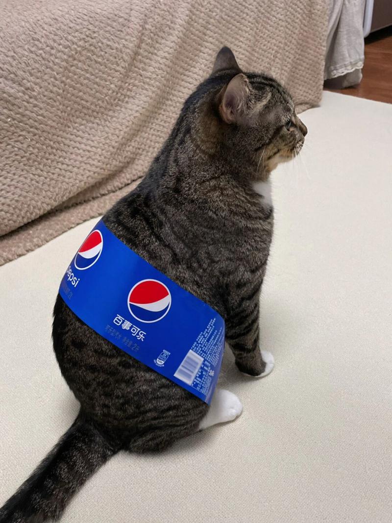 猫咪可以喝可乐吗
