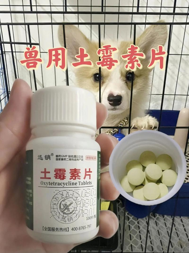 土霉素片狗一次吃多少