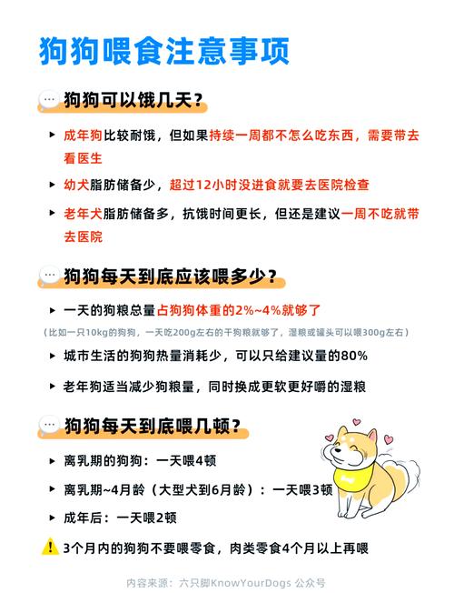 泰迪狗狗挑食怎么办?