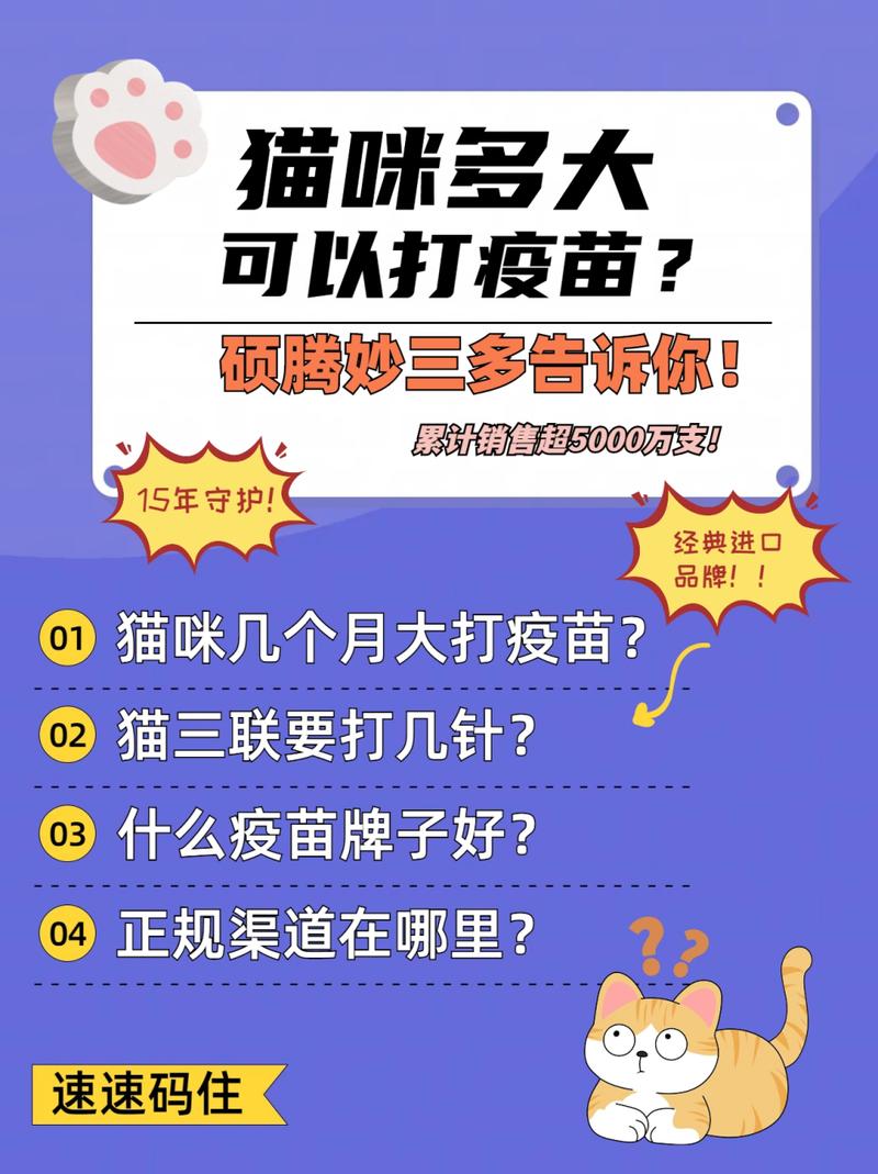 猫咪六个多月了以前没打过疫苗现在打可以么?