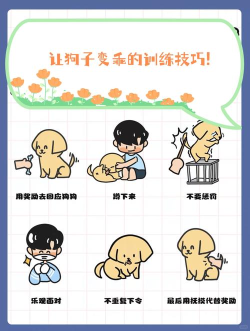狗狗怎么训练才听话