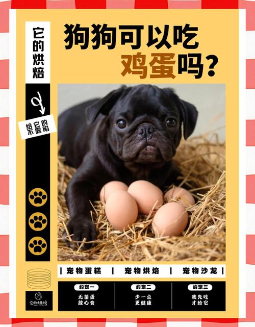 小狗狗能吃鸡蛋吗？小狗可以吃鸡蛋吗蛋清还是蛋黄？