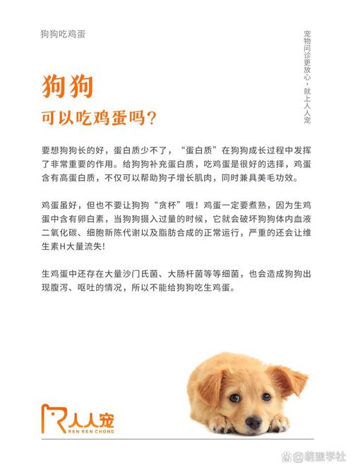 小狗可以吃鸡蛋吗