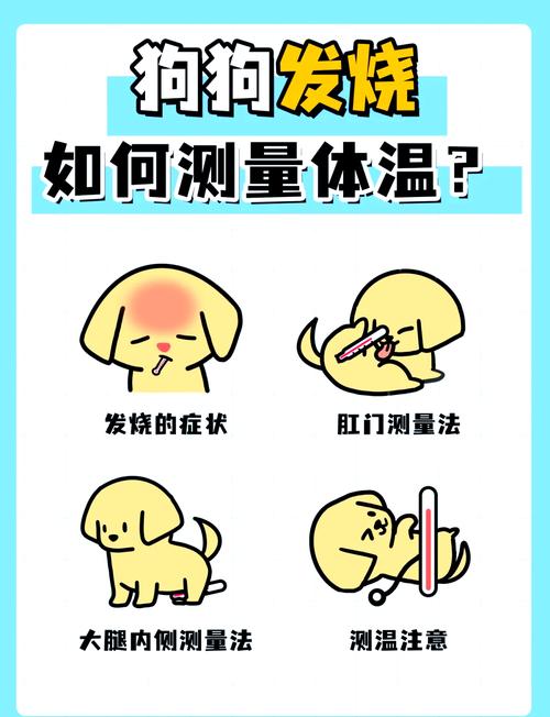 在家里怎么给狗狗测体温