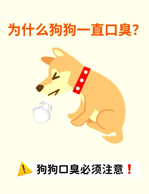 狗狗口臭是怎么回事,一哈气张嘴就很臭?