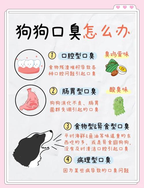 狗狗流口水口臭是很怎么回事?