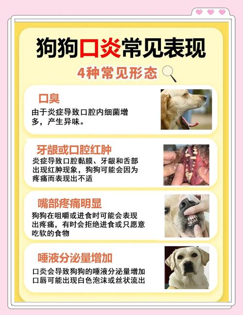 狗狗口臭是什么原因,应该怎么办?
