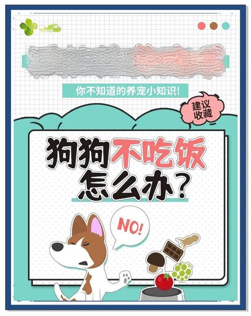 为什么家里没人狗狗不吃饭