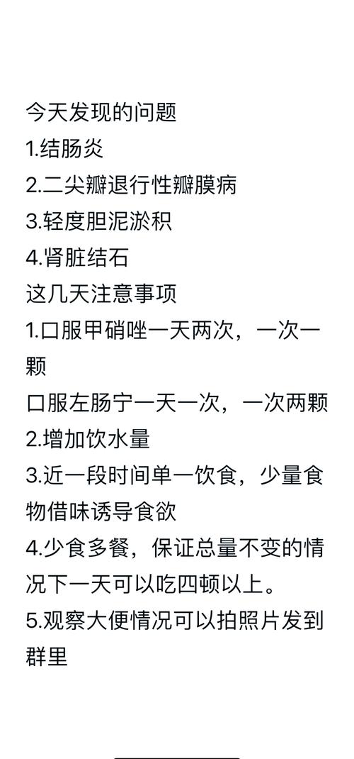 狗狗拉黑屎什么原因，狗狗拉黑屎什么原因造成的