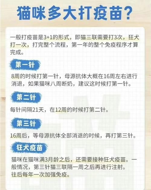 3个月的猫咪打什么疫苗