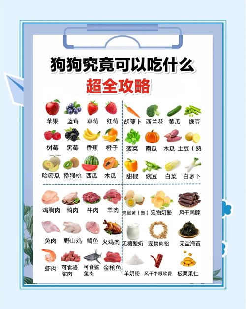 狗狗都能喝什么