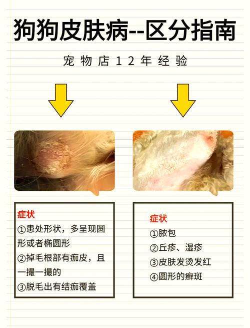 狗狗身上起癣怎么办？