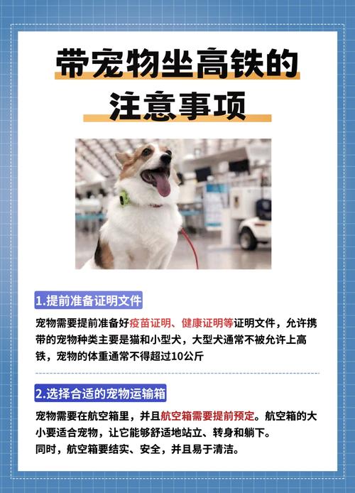猫能带上高铁吗
