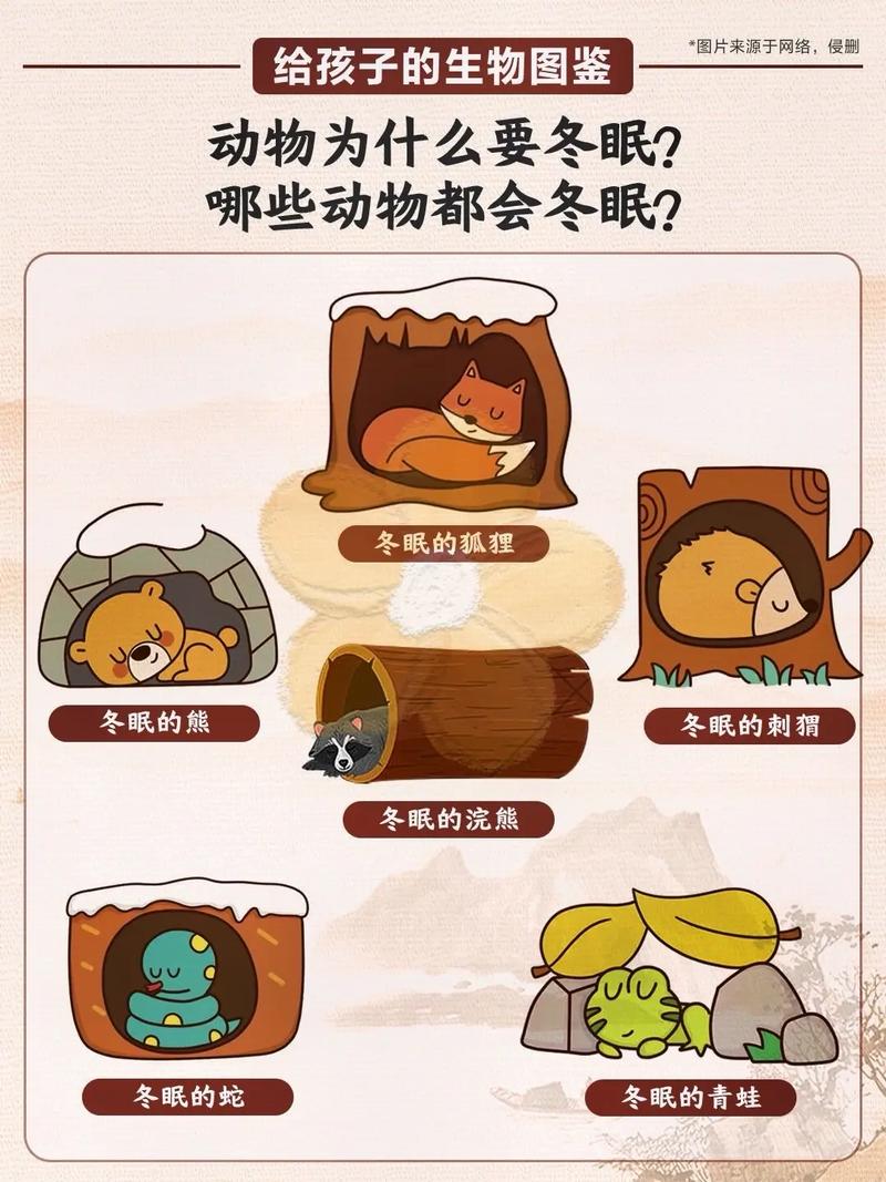 请问这种石龙子怎样过冬?