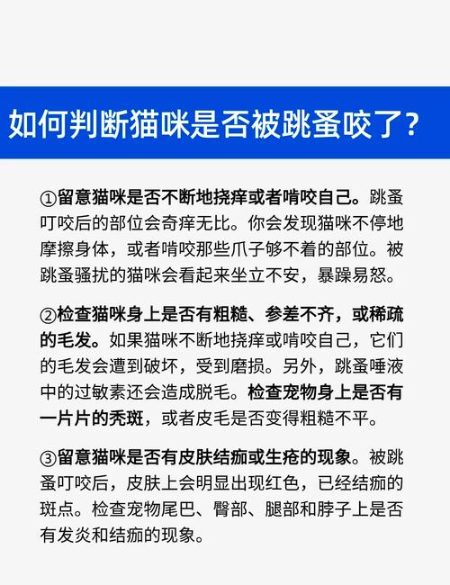 猫咪怎么去跳蚤，猫如何除跳蚤？