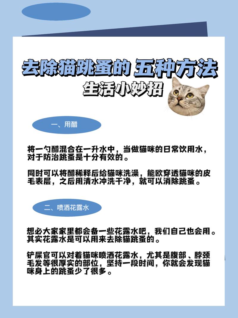 猫咪身上长跳蚤了怎么办?