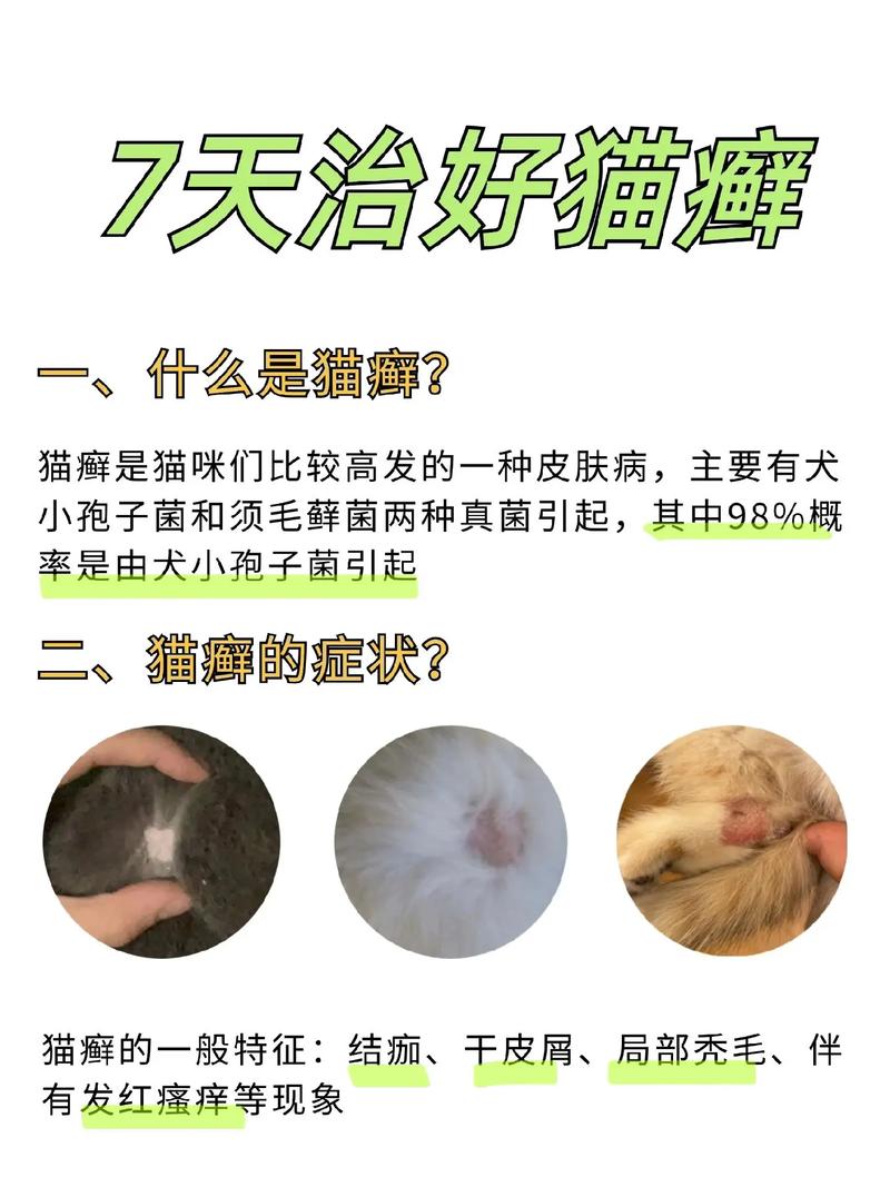 猫咪有奶藓怎么治疗