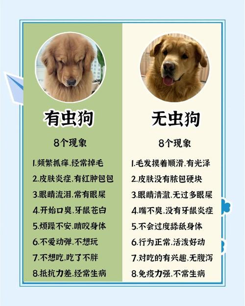 狗狗驱虫不愿意吃药,有什么好的办法吗?
