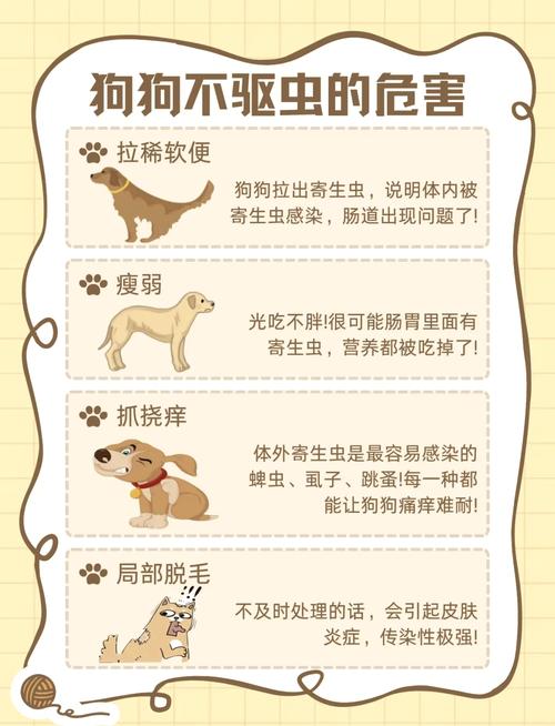 狗狗不吃驱虫药怎么办