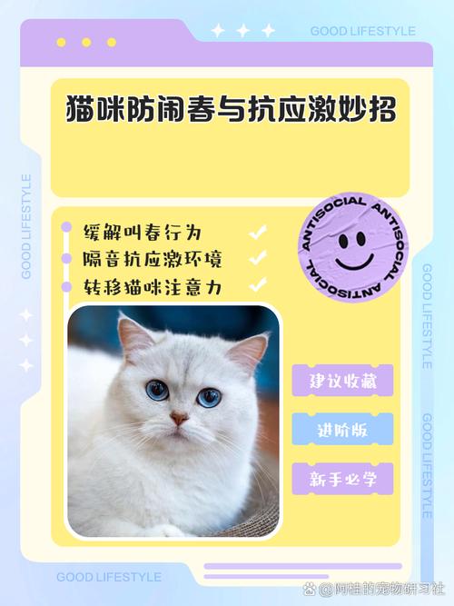 猫闹春怎么快速制止