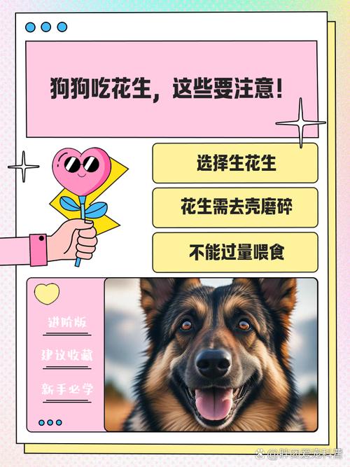 狗狗一天能吃几颗花生?