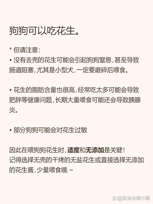 狗狗能够吃花生吗?