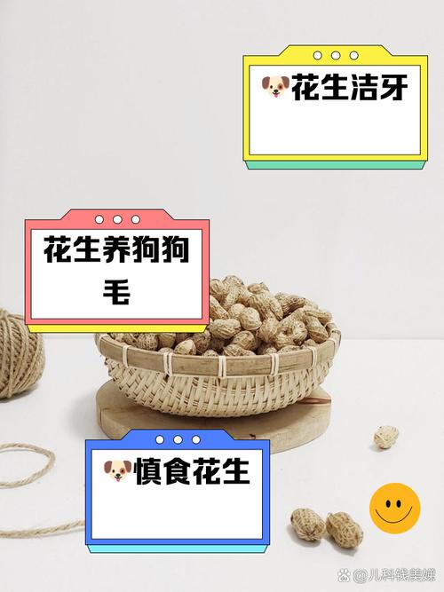 狗狗吃生花生有什么好处