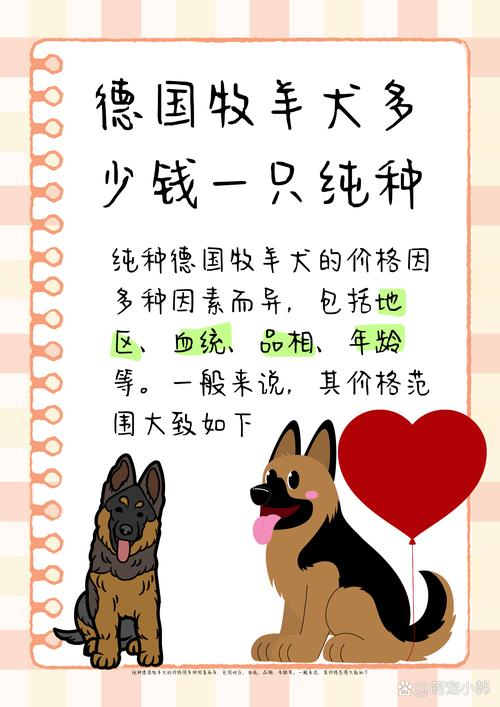 正宗德牧幼犬一只多少钱?你会买禁养犬吗