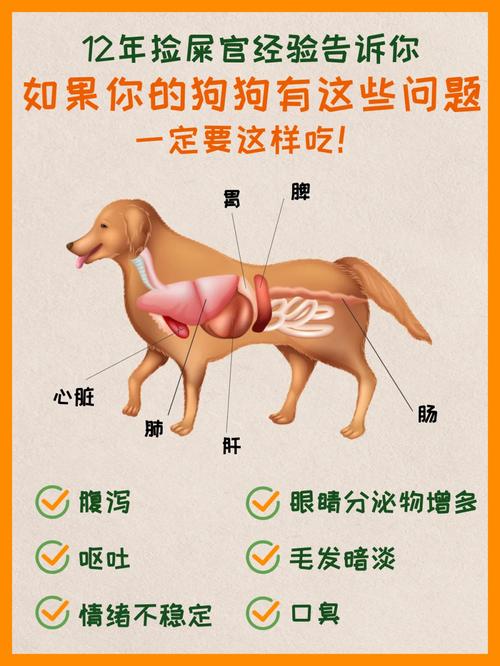 为什么狗狗不能吃内脏