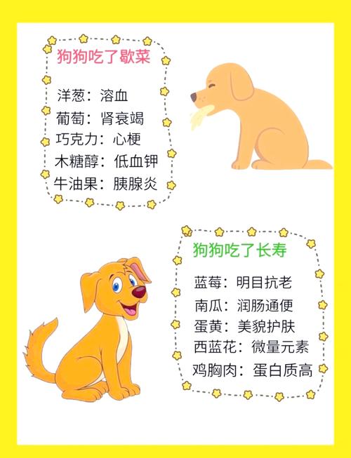 狗狗能吃动物内脏吗