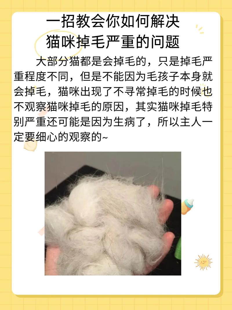 如何减少猫咪掉毛，怎么能减少猫咪掉毛？