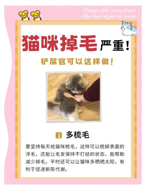有没有什么办法可以让猫咪少掉毛?