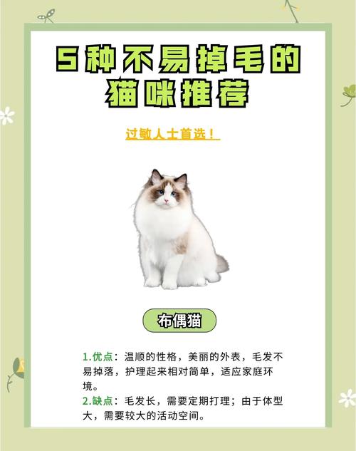 如何处理猫掉毛