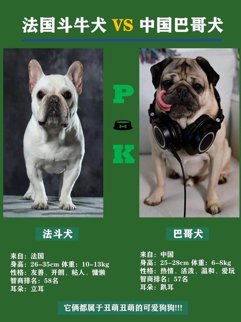 巴哥犬和法斗的区别
