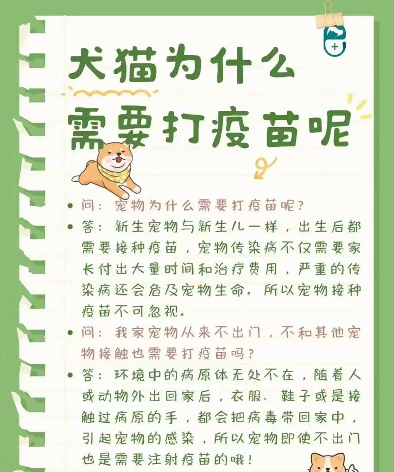 怎么自己给猫咪打疫苗，怎么自己给猫咪打疫苗视频？