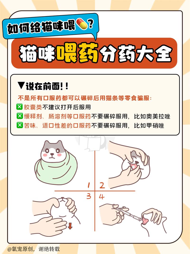 喂猫咪吃药小窍门，怎么喂猫咪吃药?