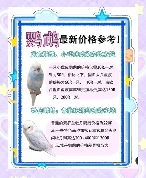 宠物鸟费用
一览表