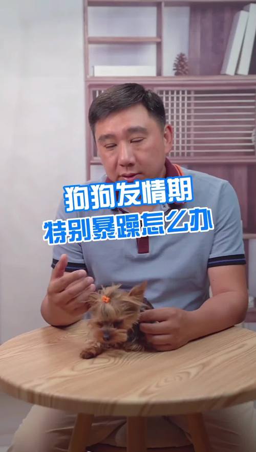 狗狗发情期几天