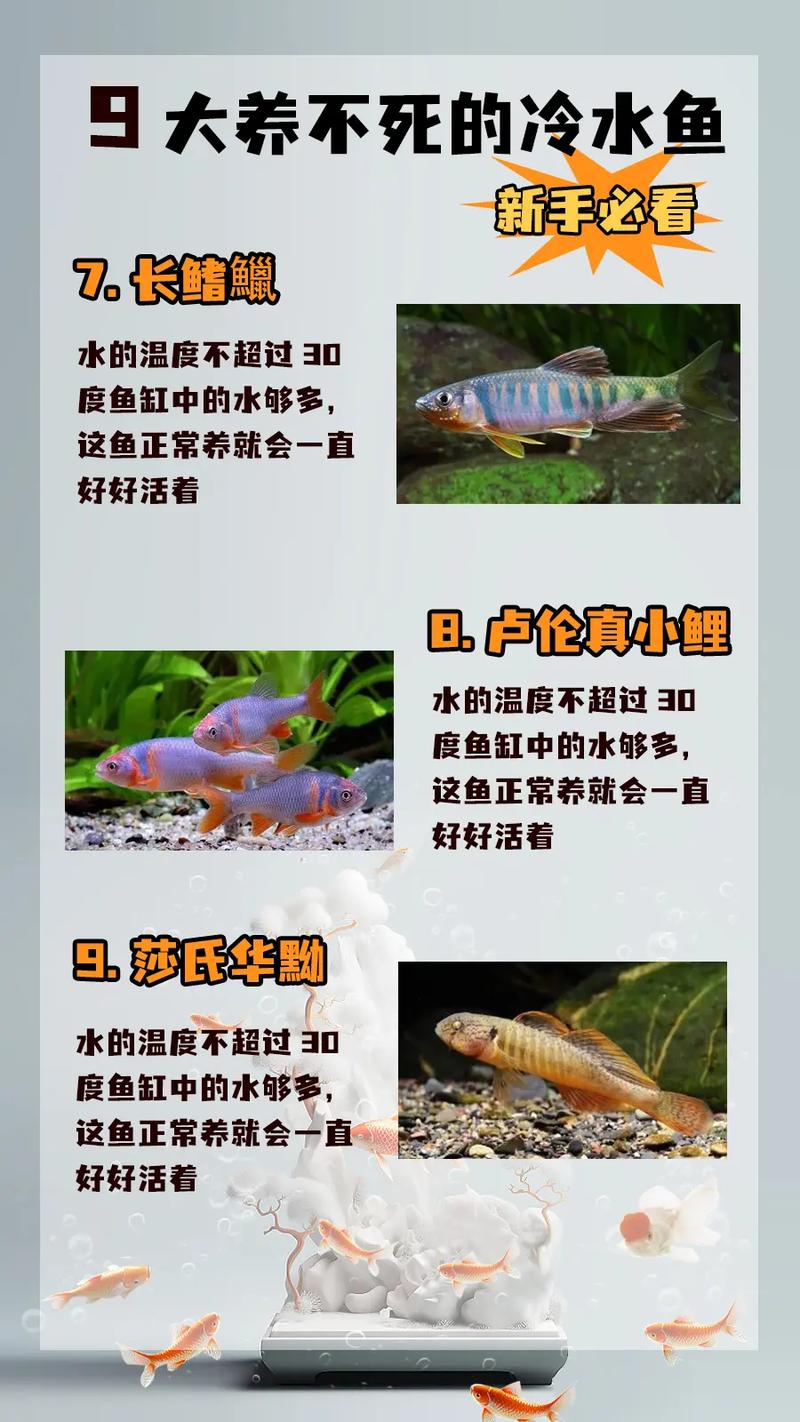 前十
养不死的热带鱼