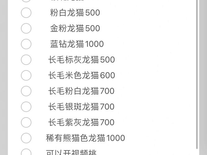 2024年龙猫多少钱一只呢?