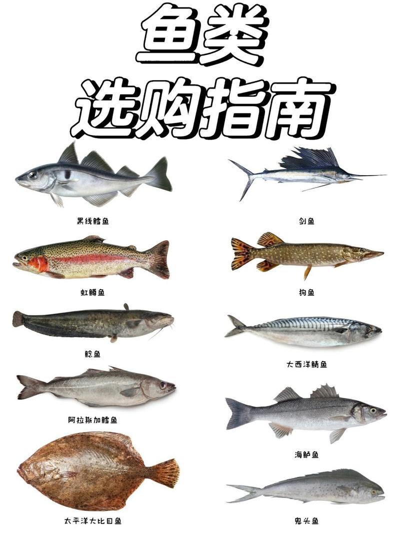 100种鳕鱼，鳕鱼好吃？