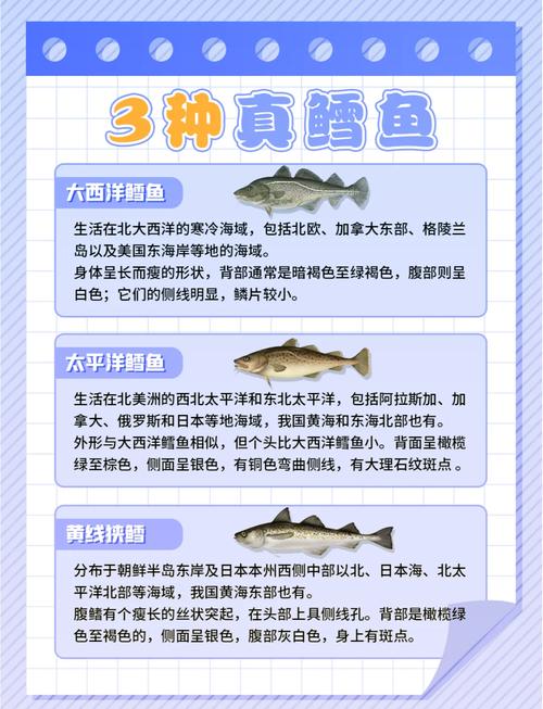 鳕鱼知识介绍?