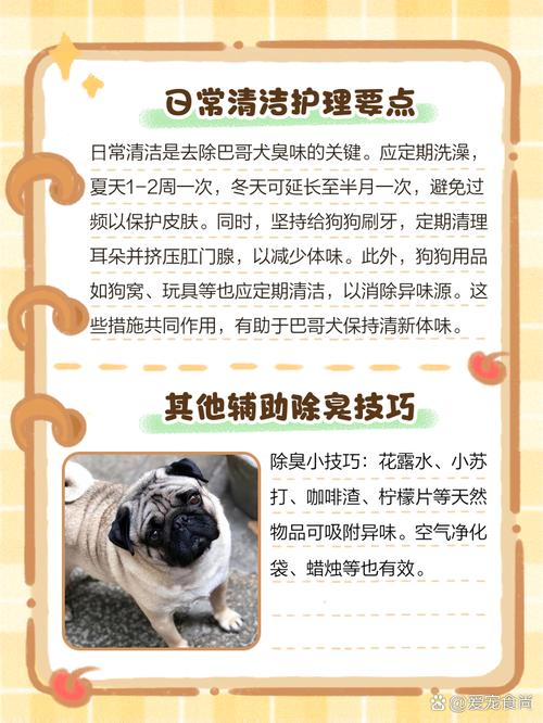 巴哥多久洗一次澡比较好？巴哥多久可以长大？
