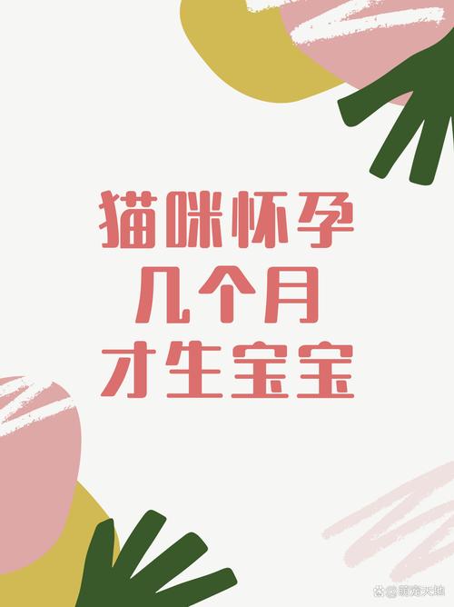 猫咪怀孕多久能生产?