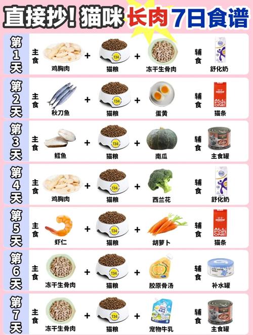 怎么养猫才会胖