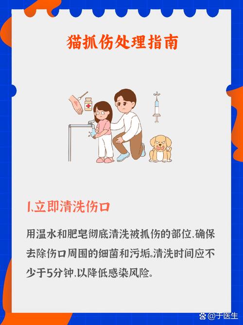 怎么帮猫咪洗澡，猫怎么帮它洗澡？