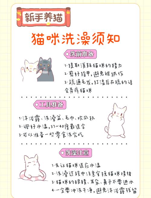 第一次给猫咪洗澡怎么洗?需要注意些什么?