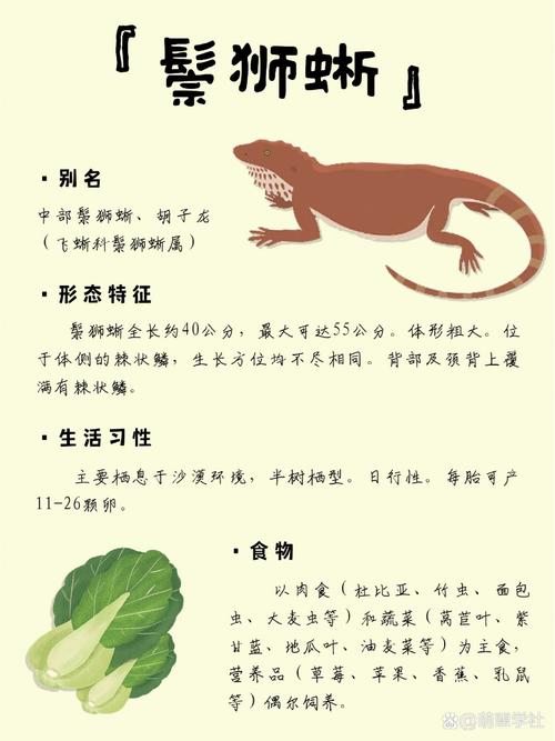 无脊椎陆地爬行动物有哪些?