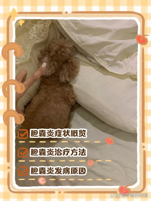狗狗胆囊炎治疗方法，狗狗胆囊炎治疗方法有几种？